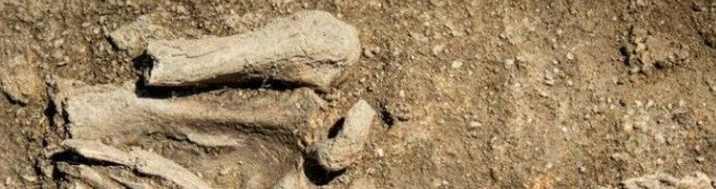 Việc tìm thấy quan tài bằng chì tại địa điểm khảo cổ này vô cùng hiếm gặp.