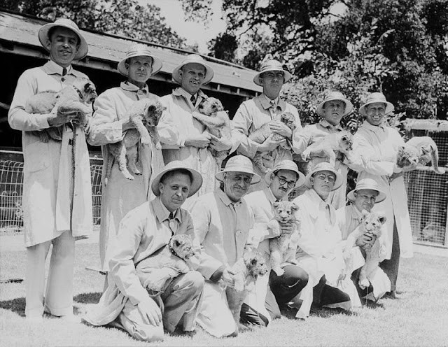 Các thành viên thuộc câu lạc bộ nuôi sư tử làm thú cưng ở San Diego, Mỹ năm 1935. Trên tay mỗi người là một con sư tử nhỏ.