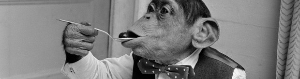 Theo đó, Lucy được cho ăn như con người, đeo khăn ăn ở cổ và được dạy dùng dao, dĩa khi ăn. Nó được gia đình ông Temerlin cho ăn đồ ăn chín.