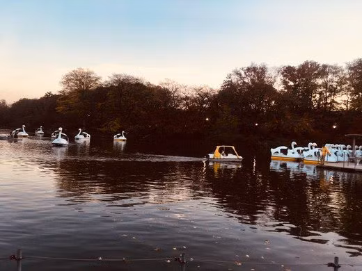 Khi nữ thần Benzaiten nhìn thấy các cặp đôi chèo thuyền ngắm cảnh hồ thì sẽ gieo giắc sự ghen tuông cho những đôi tình nhân.