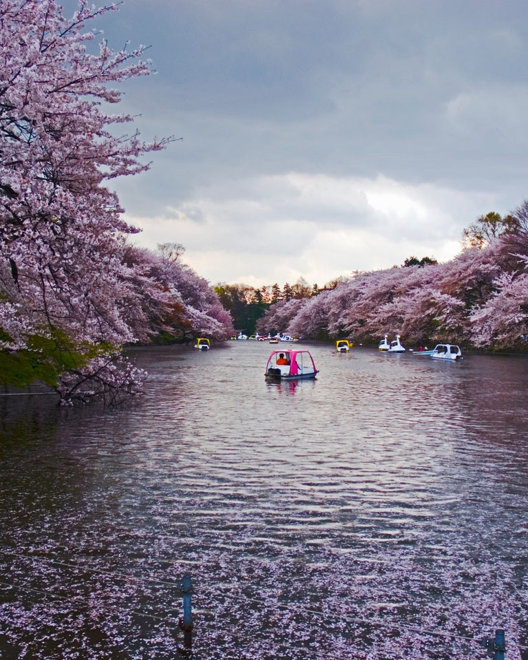 Theo truyền thuyết, nữ thần Benzaiten rất xinh đẹp nhưng vô cùng ghen tuông.