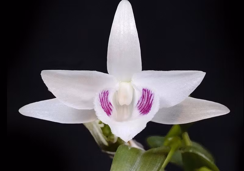 Giao dich lan dot bien tien ty co phai nop thue?-Hinh-2