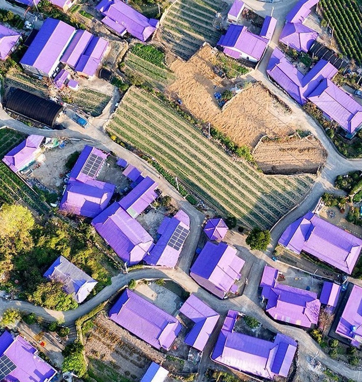 Hòn đảo Banwol-do hấp dẫn du khách bởi nhiều công trình trên đảo đều được sơn màu tím thơ mộng từ nhà, đường, xá, cây cầu...