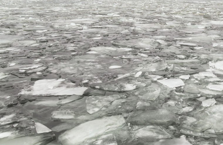 "Không thức ăn trong 71 ngày. Tôi là người duy nhất sống sót", thuyền trưởng Jenny viết trong nhật ký hành trình của con tàu.