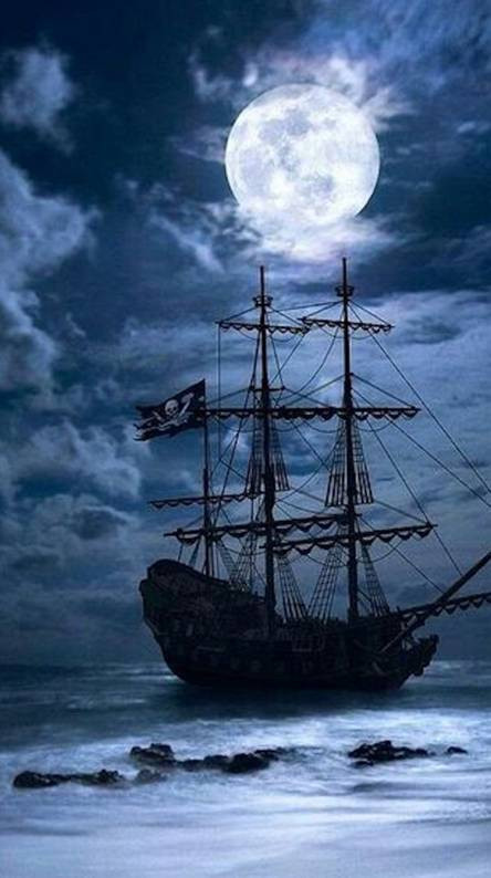 6 người còn lại tử vong ở boong tàu (gồm 5 nam giới và 1 phụ nữ). Đặc biệt, một con chó cũng được tìm thấy chết đông cứng trên tàu Jenny.