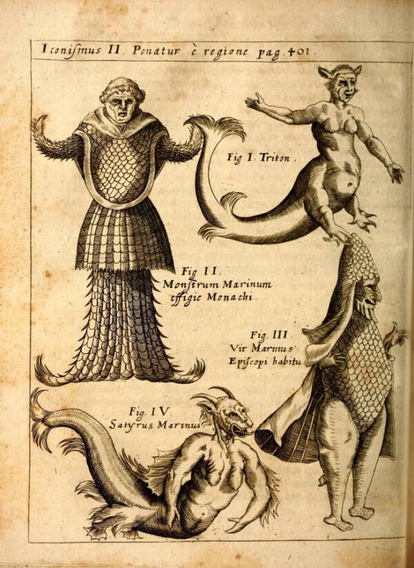 Những người cá sống ở biển mang những hình hài khác nhau. Trong số này, một số khiến người dân khiếp sợ bởi vẻ ngoài xấu xí đến khó tin.