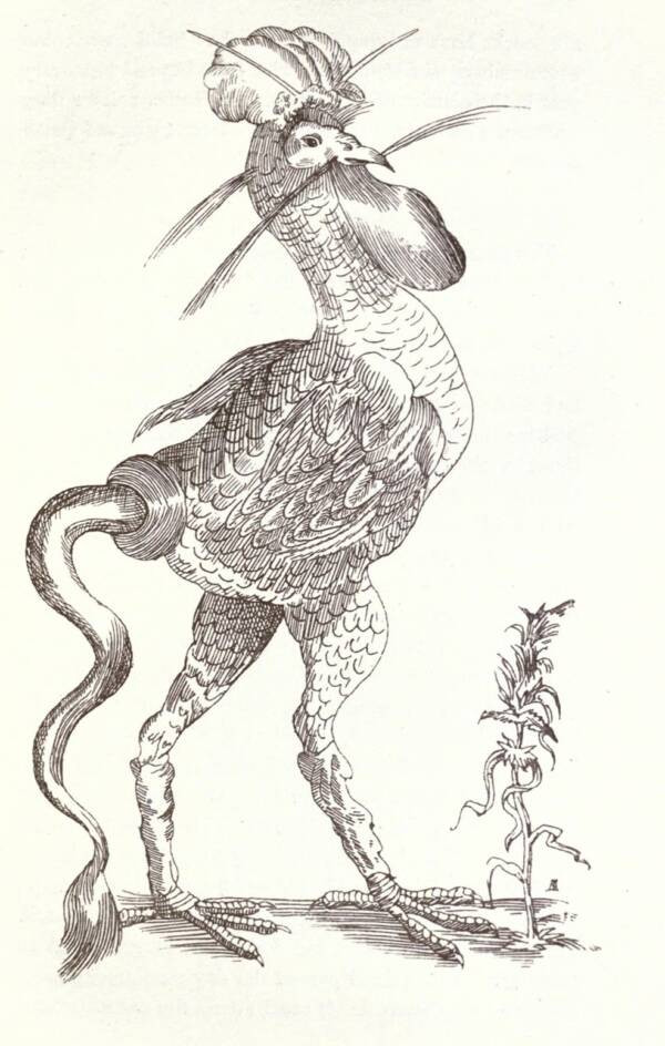 Gallus monstrosus là quái vật lai với đầu và thân là của con gà trống khổng lồ. Nó có đuôi rắn hết sức rùng rợn và được vẽ trong những tấm bản đồ hồi thế kỷ 16.