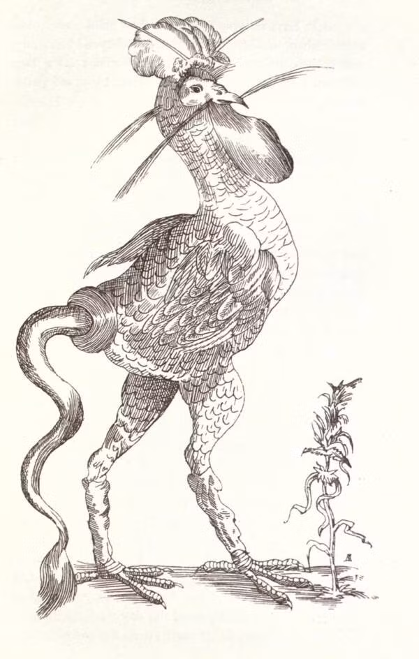 Gallus monstrosus là quái vật lai với đầu và thân là của con gà trống khổng lồ. Nó có đuôi rắn hết sức rùng rợn và được vẽ trong những tấm bản đồ hồi thế kỷ 16.