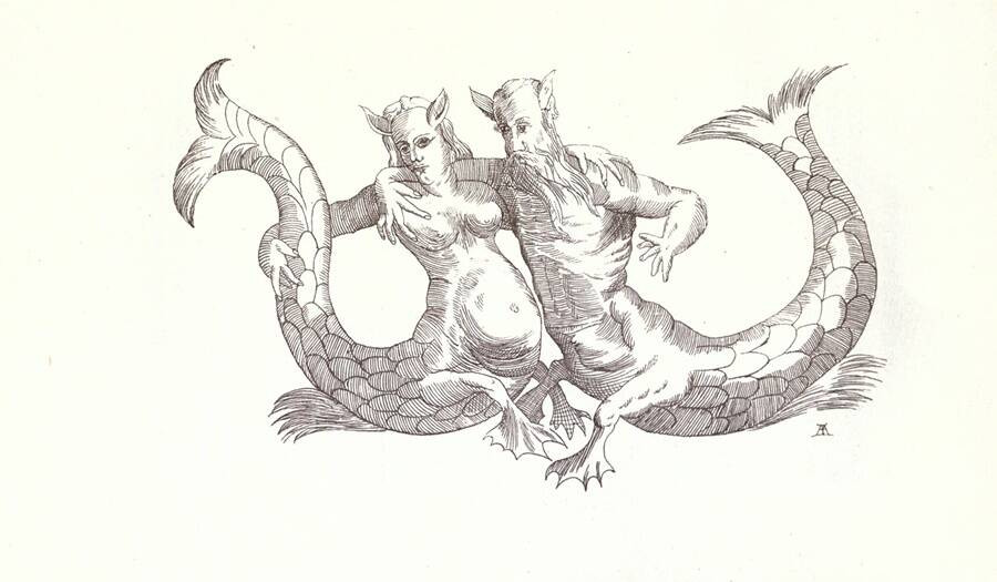 Người cá có ngoại hình kỳ quái, không mỹ miều như trong nhiều giai thoại dân gian.