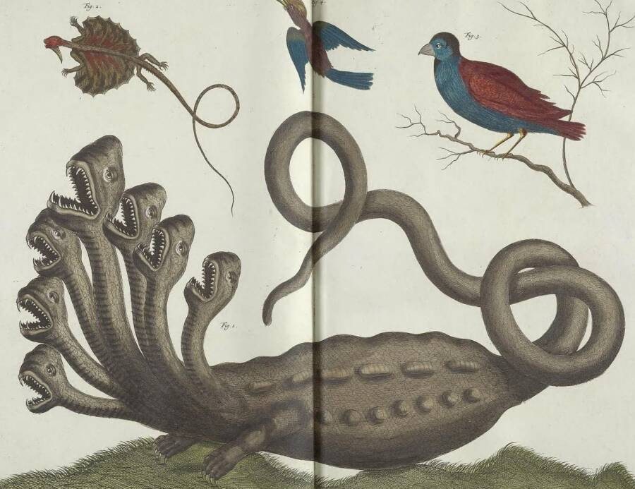 Quái vật rắn 7 đầu và có 2 chân trông hết sức kỳ dị trong bản đồ hồi thế kỷ 19.