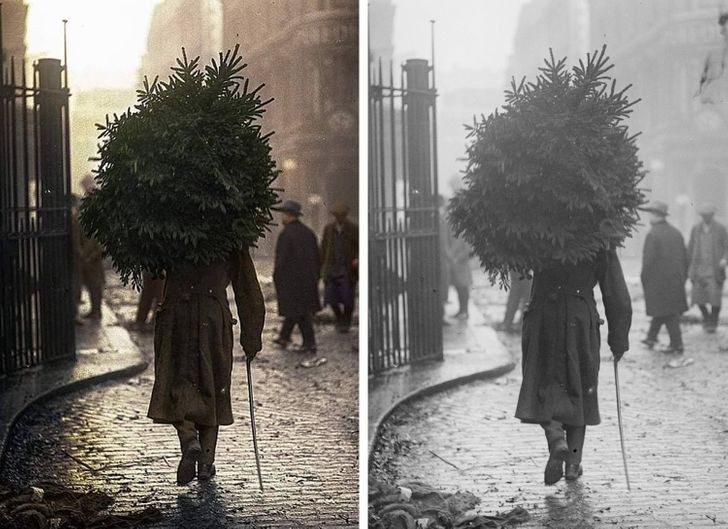 Sau khi được "tô màu", bức ảnh chụp người đàn ông mang cây thông về nhà ở Chelsea, London, Anh năm 1914 giống như sự việc mới xảy ra gần đây.