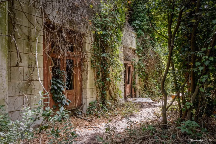 Nhiều người cho rằng, "linh hồn" những bệnh nhân bị đem làm thí nghiệm thực hiện "cuộc trả thù" khiến người bác sĩ độc ác "phát điên" và tự kết liễu tính mạng.