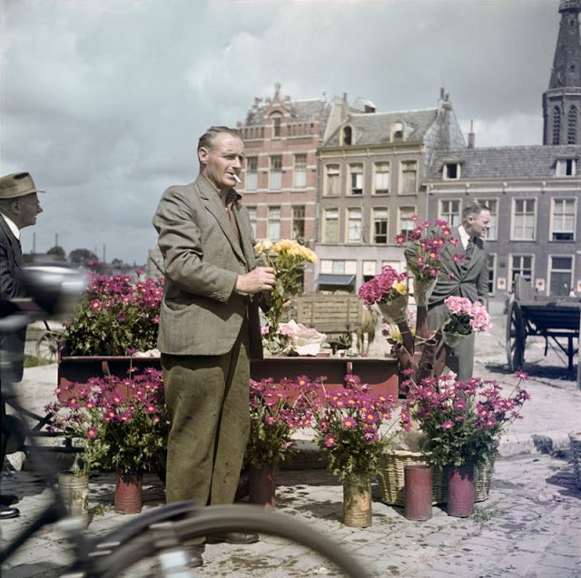 Một số quý ông ở Nijmegen ghé vào sạp bán hoa.