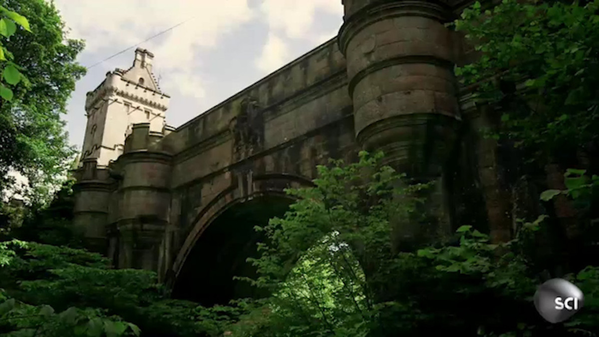 Sau đó, Kevin liên tục nói với mọi người rằng cây cầu bị "ma ám". Chính điều này khiến một số người tin rằng những con chó tự tìm đến cái chết do bị "ma quỷ" xui khiến.