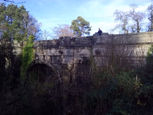 Tất cả chỉ là giả thuyết. Đến nay, người ta vẫn chưa tìm ra lời giải cho hàng loạt cái chết của những con chó ở cầu Overtoun. 