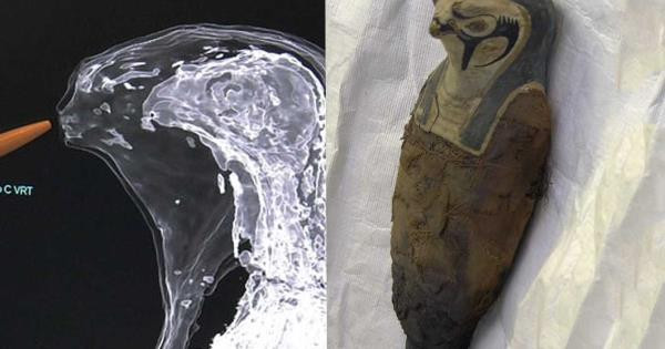 Xác ướp 3.000 tuổi mang hình dáng trẻ em bên trong là bùn, các hạt ngũ cốc và thảo mộc.