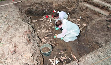 Không những vậy, thu mua và buôn bán hài hài cốt cũng là mối đe dọa đối với nỗ lực của các chính phủ và giới học thuật trong việc bảo tồn các di vật lịch sử tại những điểm khảo cổ trên thế giới.