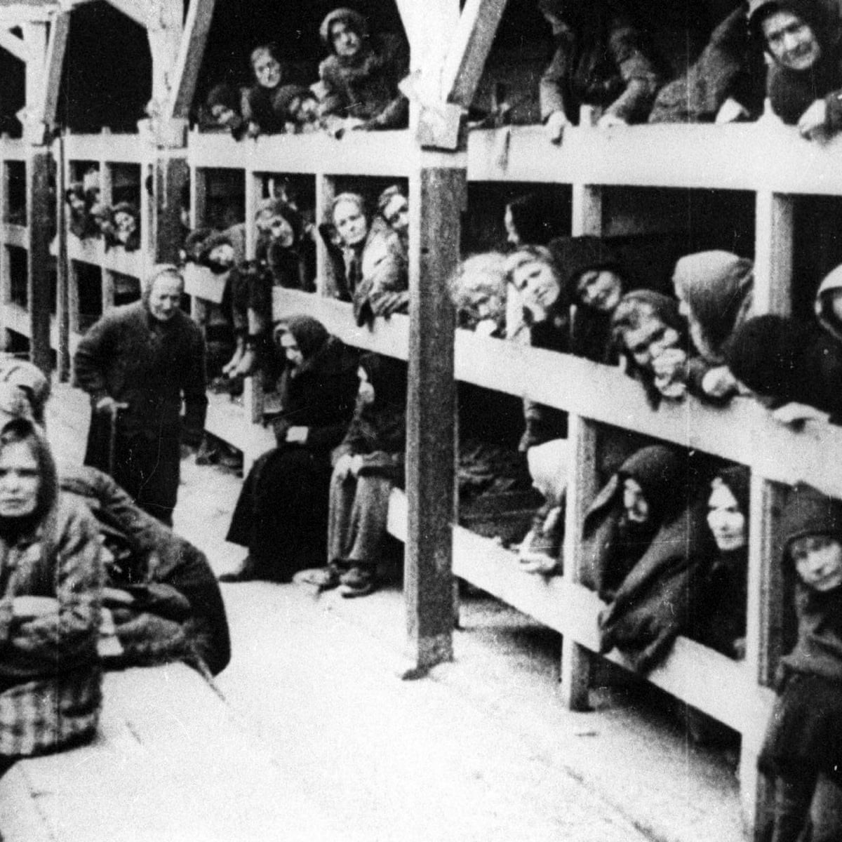 Trong số này, trẻ em trở thành mục tiêu sát hại tàn bạo nhất của cuộc thảm sát Holocaust vì phát xít Đức cho rằng thế hệ trẻ là nguồn gốc đe doạ sự vững mạnh của đế chế thứ 3.