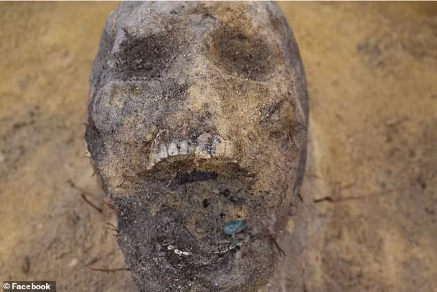 Sau đó, các chuyên gia đến hiện trường và tiến hành khai quật. Họ tìm thấy 115 bộ hài cốt. Trong số này có 70 - 80% bộ hài cốt là trẻ em.