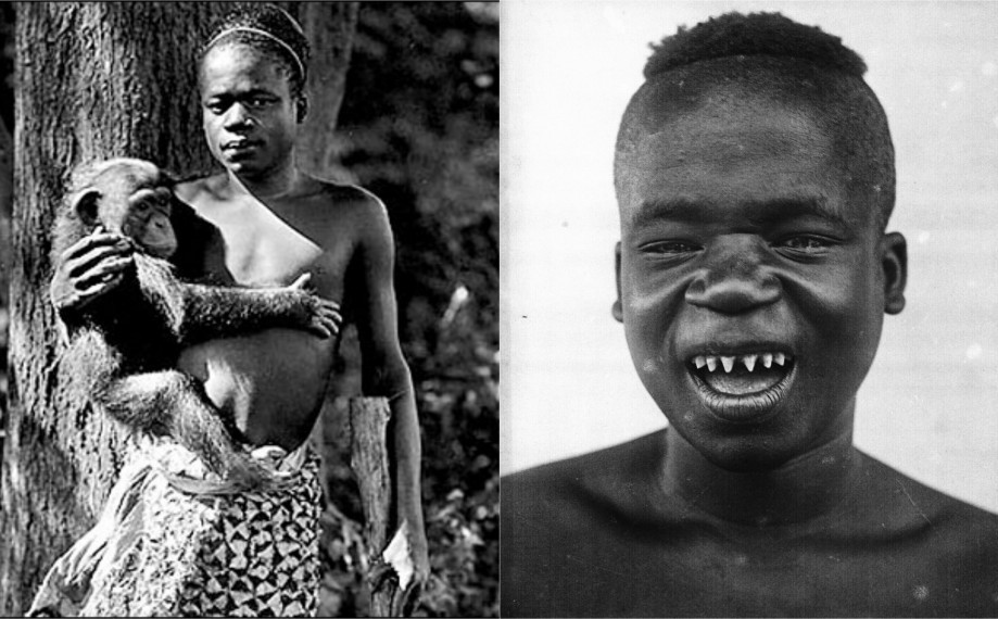 Tại đây, Benga chơi đùa cùng đười ươi và nói bằng một thứ ngôn ngữ kỳ lạ mà dường như chỉ có con vật nhốt cùng chuồng mới hiểu được.