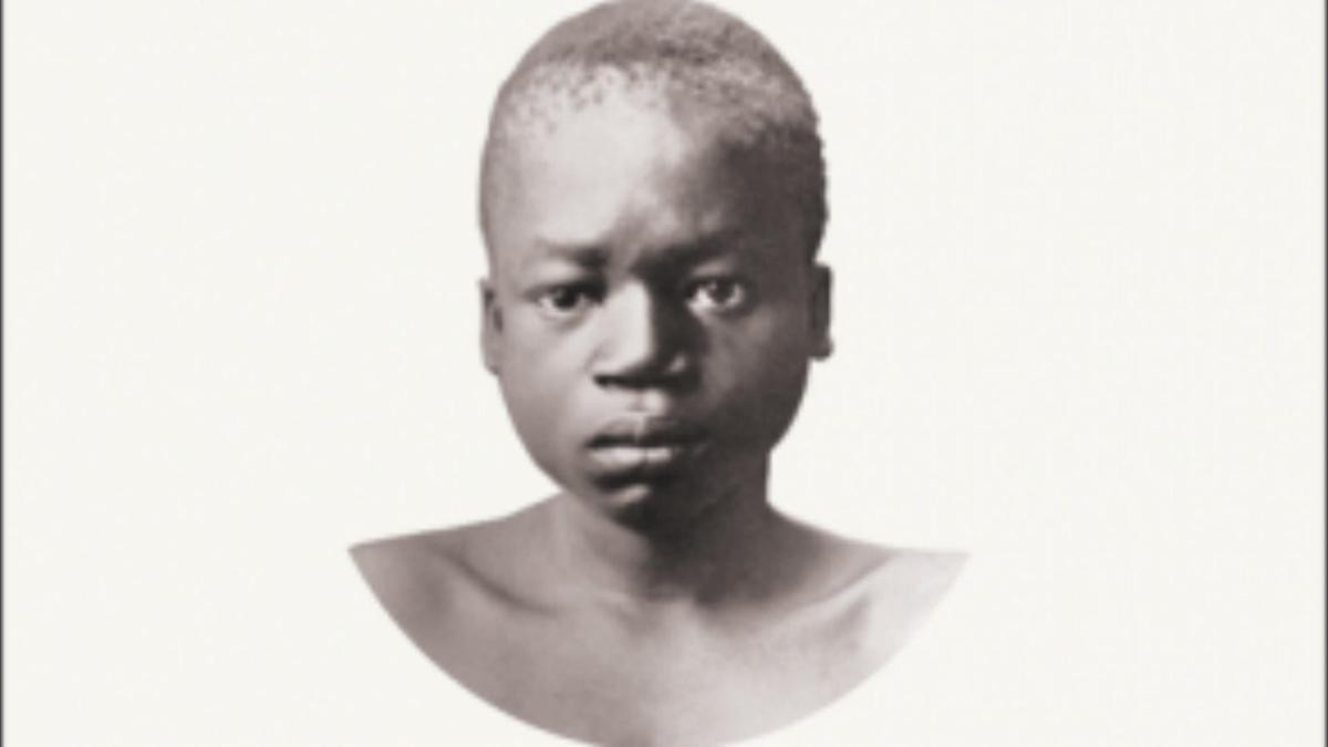 Về sau, một số người lên tiếng chỉ trích sở thú New York vì hành động phân biệt chủng tộc. Nhờ vậy, Benga không được xem như vật triển lãm.