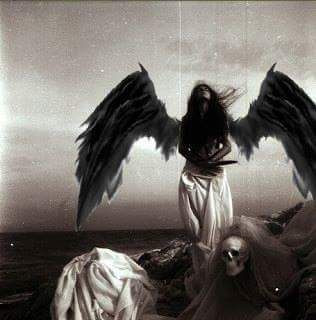 Hình phạt dành cho các Siren là bị vặt hết lông trên người để làm áo khoác cho nữ thần Hera.