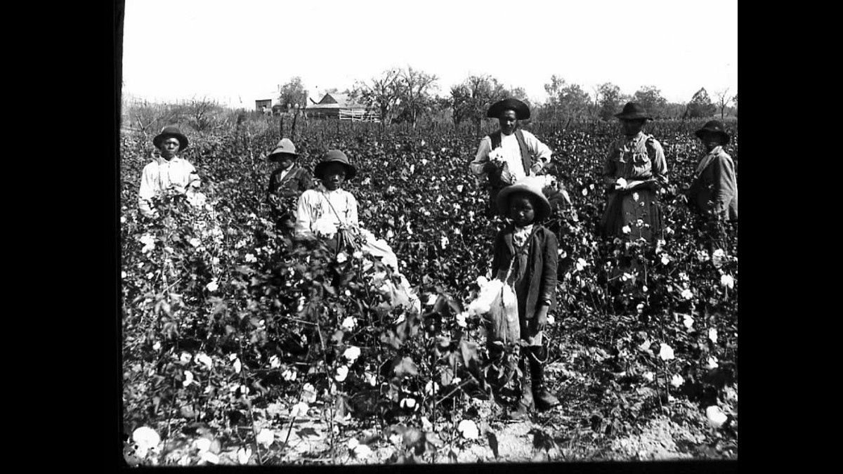 Vì vậy, Hoàng tử Sori bị Foster đưa về làm tại nông trại của mình ở quận Morgantown, thành phố Natchez. Công việc hàng ngày của Sori là làm cỏ, trồng cây và thu hoạch bông. Ông phải làm việc quần quật cả ngày và chỉ được nghỉ trưa 30 phút.