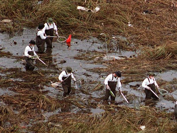 Đám cháy bùng phát trên chuyến bay số 592 là do một lô các bình oxy bị dán sai nhãn và đóng gói không đảm bảo tiêu chuẩn an toàn hàng không.