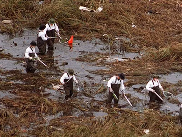 Đám cháy bùng phát trên chuyến bay số 592 là do một lô các bình oxy bị dán sai nhãn và đóng gói không đảm bảo tiêu chuẩn an toàn hàng không.