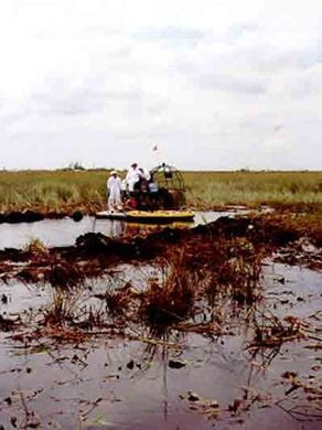 Kết quả điều tra cho thấy phi công điều khiển chuyến bay trên đã không kiểm soát được máy bay sau khi ngọn lửa bùng lên từ khoang chứa hàng. Ngọn lửa làm vô hiệu hóa một số hệ thống máy móc.