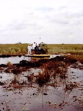 Kết quả điều tra cho thấy phi công điều khiển chuyến bay trên đã không kiểm soát được máy bay sau khi ngọn lửa bùng lên từ khoang chứa hàng. Ngọn lửa làm vô hiệu hóa một số hệ thống máy móc.