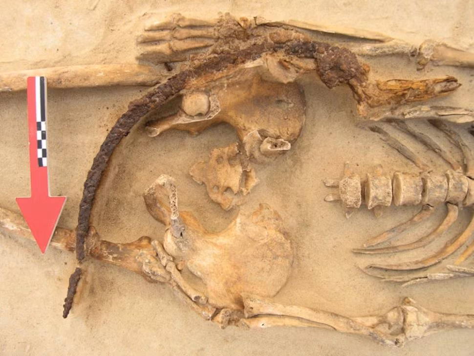 Đa số ngôi mộ tại Drawsko có niên đại sớm nhất là vào thế kỷ 16 - 17. Những di hài được tìm thấy chôn cất với tư thế hết sức đặc biệt.