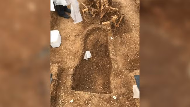 Đặc biệt, một tấm khiên dài 76 cm đặt cạnh hài cốt chiến binh khiến các chuyên gia vô cùng chú ý.