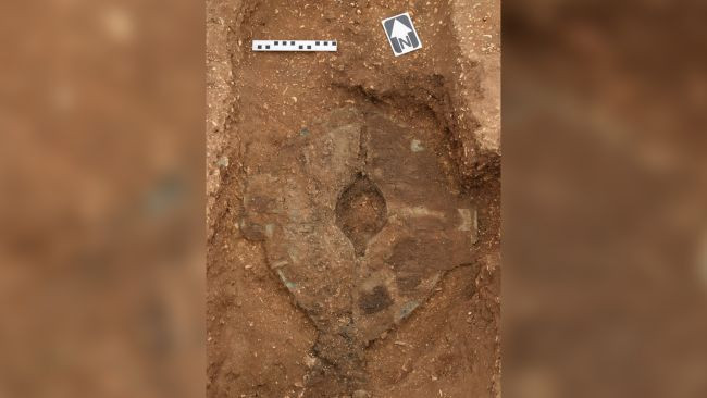 Bên cạnh hài cốt chiến binh, các nhà khảo cổ còn tìm thấy vũ khí, xe ngựa và 2 con ngựa.