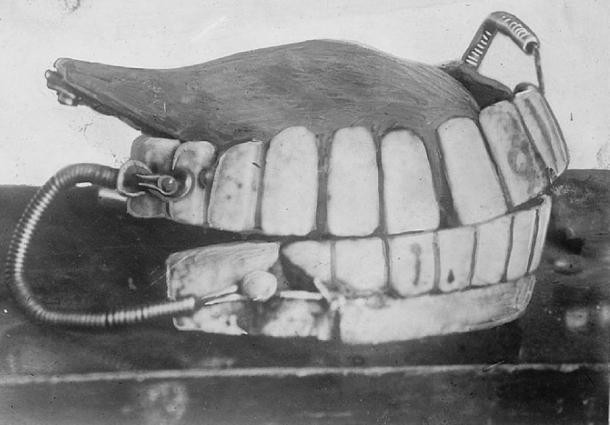 Do việc làm răng giả khi ấy chưa phát triển nên người dân thời đó sử dụng răng của người sống để làm răng giả phục vụ nhu cầu của khách hàng.