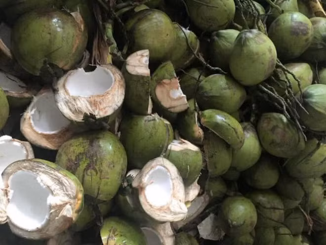 “Sot sinh sich” voi mut tet tu lam gia cao-Hinh-2