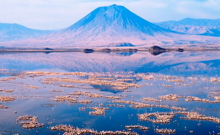 Trên xác của những con vật xấu số có một lớp muối giúp bảo quản không bị phân hủy.