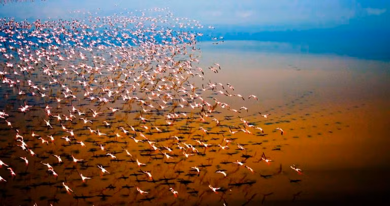 Giai ma rung ron “vung nuoc tu than” co that tren the gioi