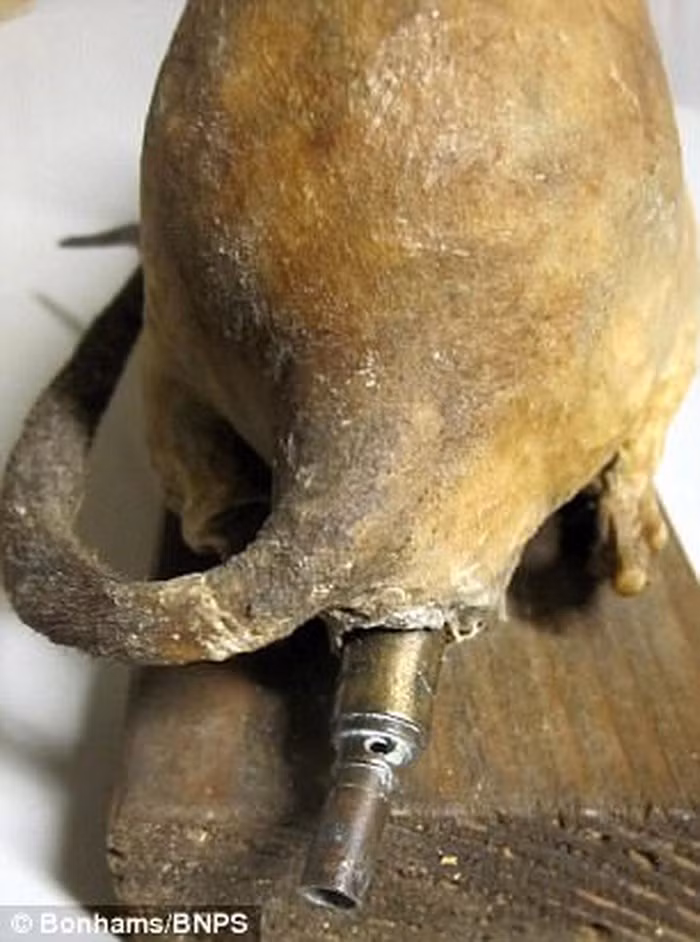 Khi ấy, tình báo Anh đạt được mục đích trong việc phá hủy và gây thiệt hại lớn cho phát xít Đức.