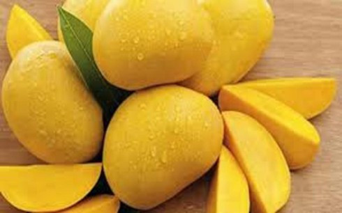 Kích thích ham muốn “yêu”: Được gọi là “trái cây tình yêu”, xoài là nguồn cung cấp vitamin E dồi dào. Dưỡng chất này giúp cân bằng hormone, tăng ham muốn “yêu” và cải thiện khả năng sinh sản ở nam giới.