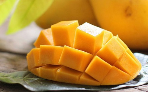 Hỗ trợ tiêu hóa: Nguồn chất xơ trong xoài cũng giúp hệ tiêu hóa khỏe mạnh, ngăn ngừa táo bón. Các enzyme có lợi được sử dụng để chữa kiết lị, nhiễm trùng đường tiết niệu.