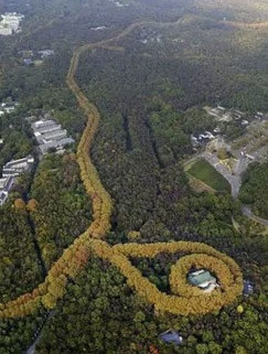 Sau khi hoàn thành, vợ chồng Tống Mỹ Linh thường tới căn biệt thự này trong các dịp nghỉ lễ và dùng làm nơi đón tiếp khách quý.