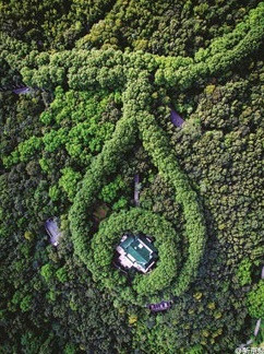 Khi nhìn từ trên cao, Cung điện Mỹ Linh mà Tưởng Giới Thạch xây tặng Tống Mỹ Linh được bao quanh bởi hàng cây cổ thụ trông giống như viên ngọc lục bảo trên mặt dây chuyền.