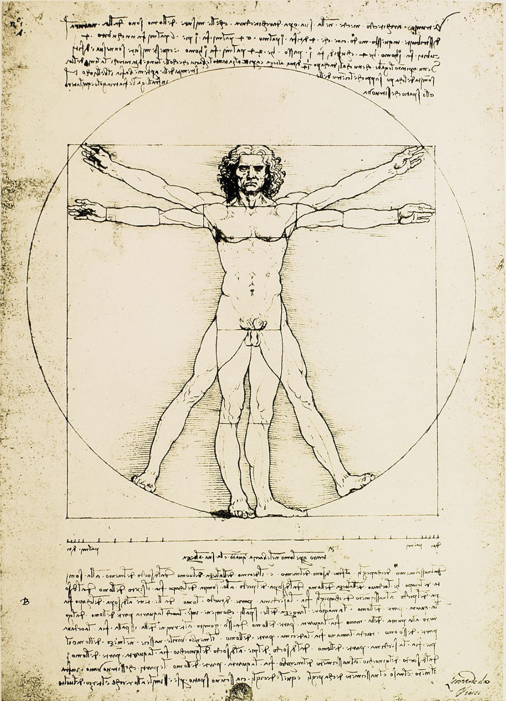 Khoảng năm 1490, Leonardo da Vinci được cử tới triều đình Sforza với tư cách là một phái viên âm nhạc, sau đó trở thành nhà sản xuất các chương trình giải trí. Thời điểm này, Salai - một chàng trai trẻ tuổi - đến sống cùng Leonardo như thư ký, trợ lý, bạn đồng hành, mang lại cho ông nhiều thích thú và say mê đến những năm cuối đời. Ông say sưa với các thiết kế nhà thờ, vẽ hơn 70 mái vòm tuyệt mỹ. Điều này dẫn dắt ông thực hiện tác phẩm Người Vitruvius (trong ảnh) với ý nghĩa: “Con người, được gọi là thế giới thu nhỏ, chứa đựng trong mình tất cả sự hoàn hảo phổ quát nhất của toàn bộ thế giới".