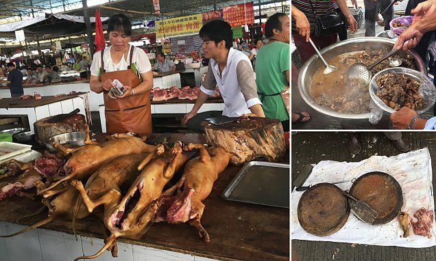 Một thống kê cho thấy Trung Quốc là quốc gia tiêu thụ số lượng chó nhiều nhất thế giới với phần lớn người ăn là nam giới. video: Ăn thịt chó, sướng mồm hại thân? (nguồn: VTC14)