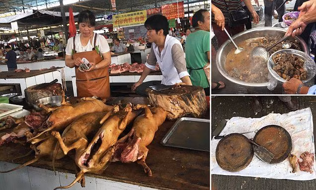 Một thống kê cho thấy Trung Quốc là quốc gia tiêu thụ số lượng chó nhiều nhất thế giới với phần lớn người ăn là nam giới. video: Ăn thịt chó, sướng mồm hại thân? (nguồn: VTC14)