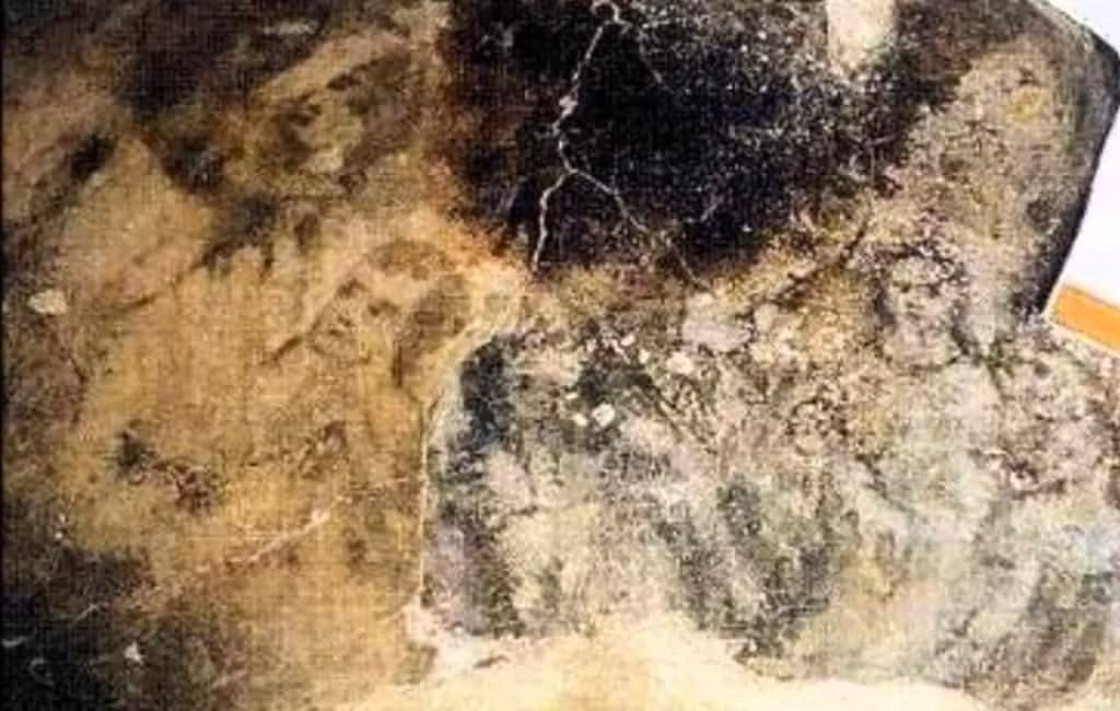 Thế nhưng, càng về sau, những vết ố ngày càng lớn và dần hình thành gương mặt kỳ quái. Hoảng sợ trước sự việc này, bà Pereira cùng gia đình phá bỏ sàn nhà và xây lại.