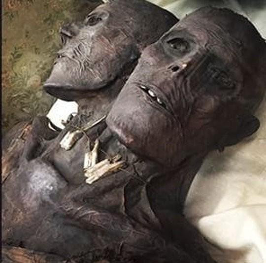 Trước câu chuyện về Kap Dwa, nhiều người cho rằng đây là bằng chứng có thật về người khổng lồ từng tồn tại trên Trái đất.