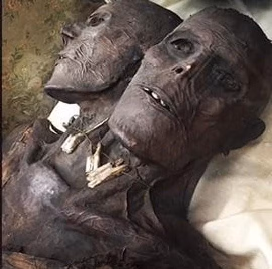 Trước câu chuyện về Kap Dwa, nhiều người cho rằng đây là bằng chứng có thật về người khổng lồ từng tồn tại trên Trái đất.