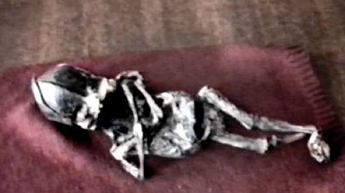 Khi ấy, những người xung quanh tò mò muốn xem bà Prosvirina đang bế thứ gì. Bà nói rằng đó là con trai Alexey.